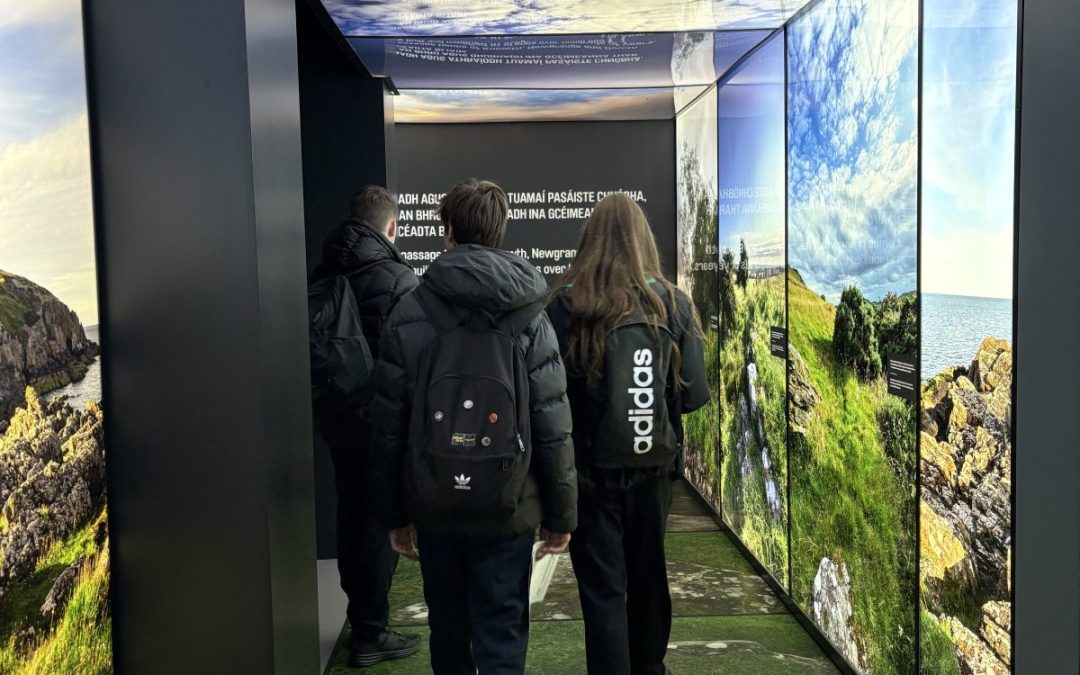 Fifth Year Art Trip to Newgrange