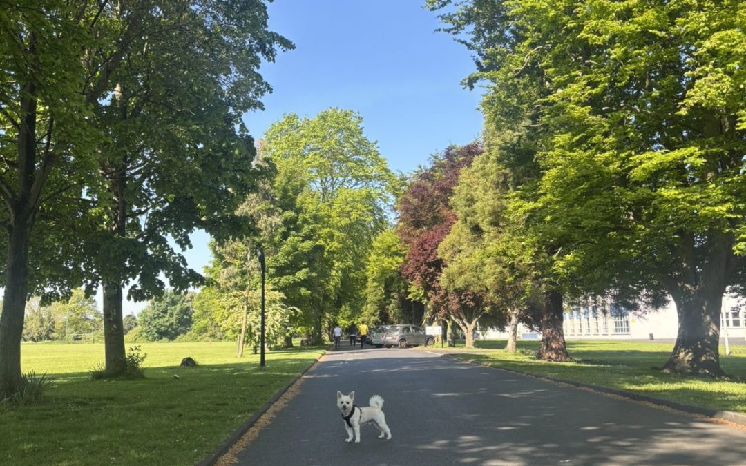 Wellbeing Week 2025