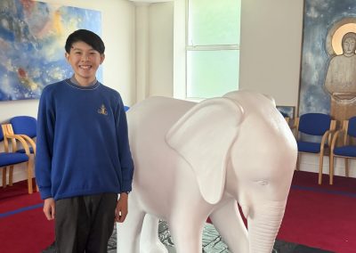 Elephant in the Room
