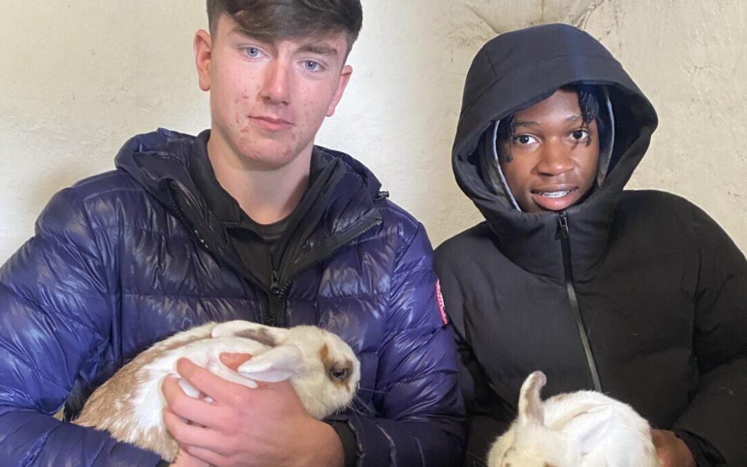 Causey Farm Visit – 6th yr LCW class