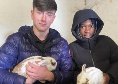 Causey Farm Visit – 6th yr LCW class